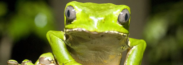 DÍA 01:  A su llegada a Puerto Maldonado, la Capital de la Biodiversidad del Perú, lo recibirán en el aeropuerto. Luego iniciarán el programa con una visita en bus, por […]